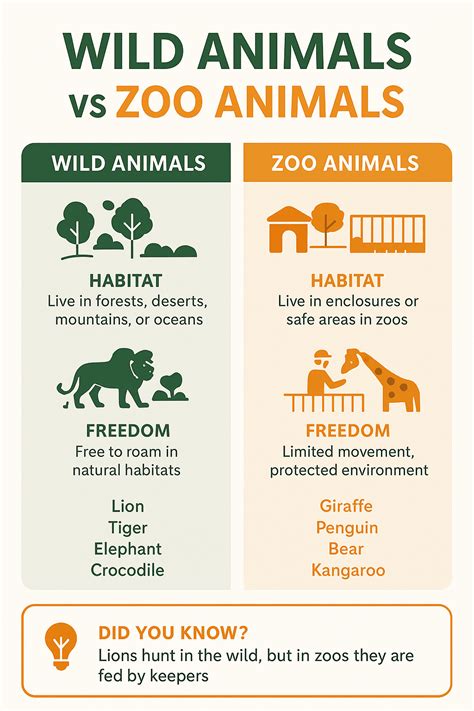 Behavior Of Wild Animals