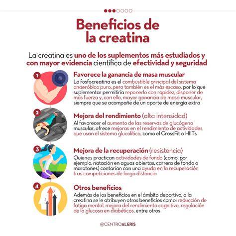 Beneficios De La Creatina