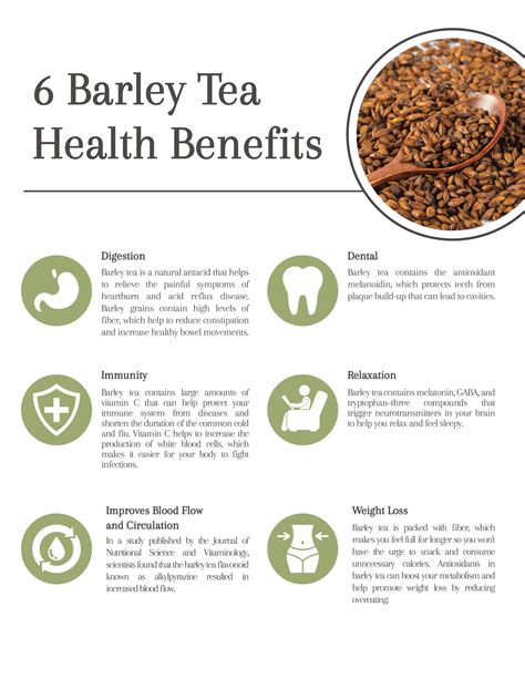 Benefits Of Barley Tea