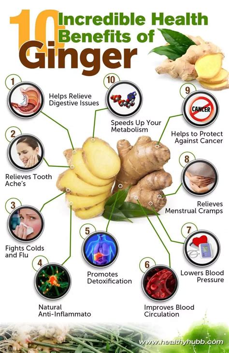 Benefits Of Ginger In The Body