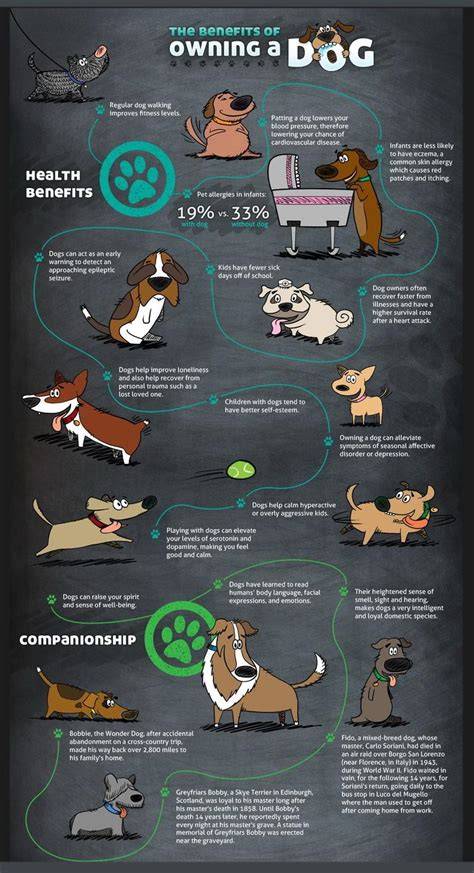 Benefits Of Having A Dog