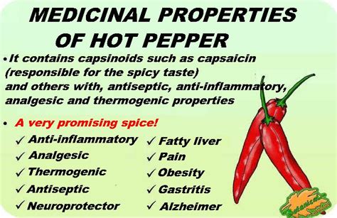Benefits Of Hot Pepper