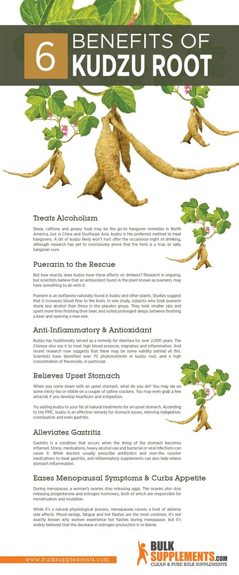 Benefits Of Kudzu Root
