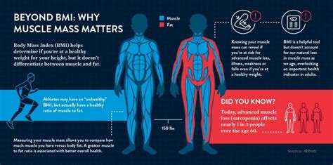 Benefits Of Muscle Mass