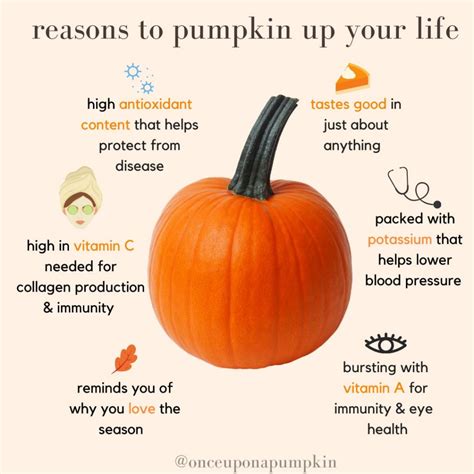 Benefits Of Pumpkin