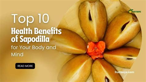 Benefits Of Sapodilla