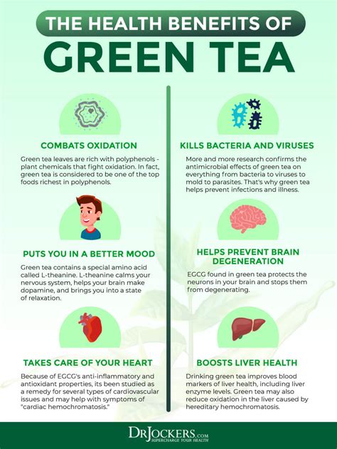Benefits Of Unsweetened Green Tea