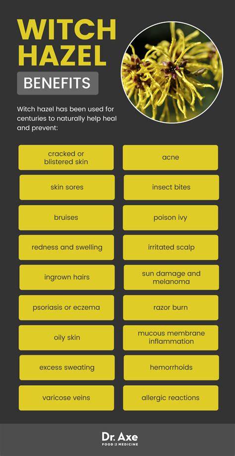 Benefits Of Witch Hazel