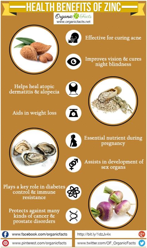 Benefits Of Zinc For Muscle Growth