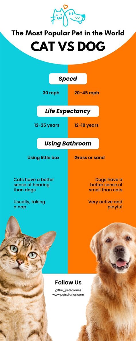 Better Than Vs Superior To Dogs