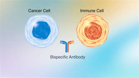 Bispecific Antibody News
