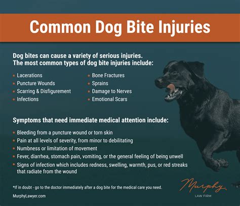 Bite Of Dog Looks Like