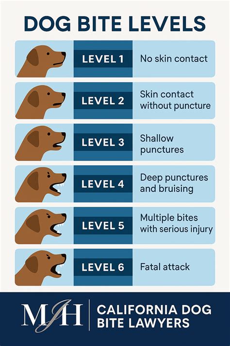 Bite Of Dog