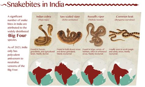 Bite Of India