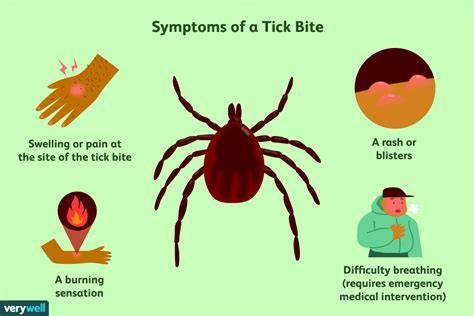 Bite Of Tick