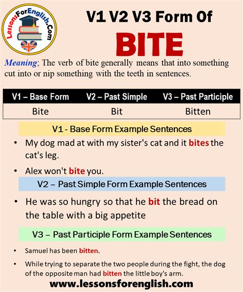 Bite Or Bit