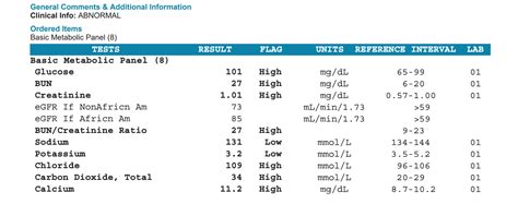 Blood Test Basic Metabolic