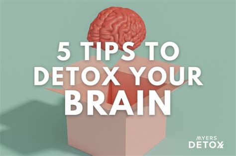 Brain Detox Loophole