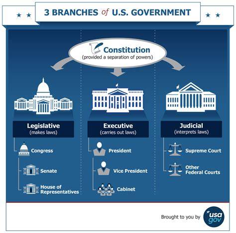 Branches Of Government Usa