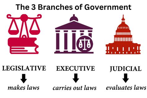 Branches Of Government