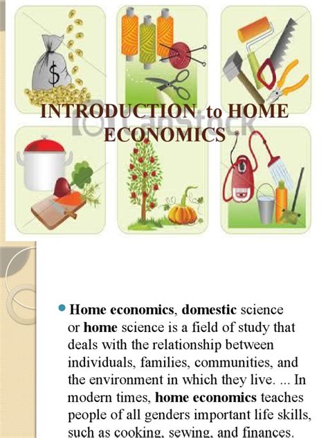 Branches Of Home Economics