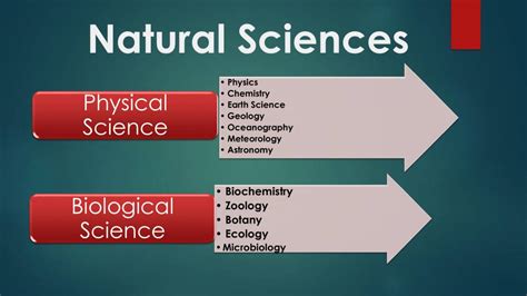 Branches Of Natural Science