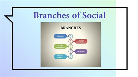Branches Of Social Studies