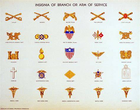Branches Of The Army