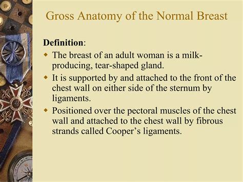 Breast Definition