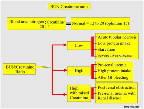 Bun And Creatinine