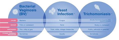 Bv Versus Yeast Infection