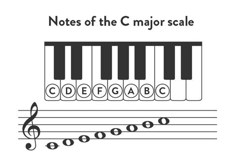 C Scale Labeled