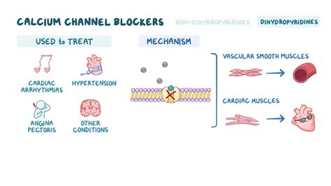 Calcium Channel Blockers For Raynaud's