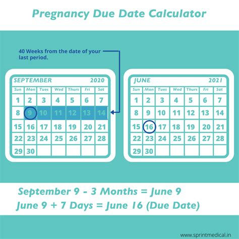 Calculation For Estimated Due Date