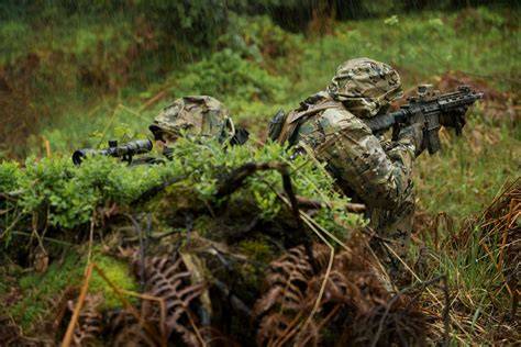 Camouflage Of Soldiers