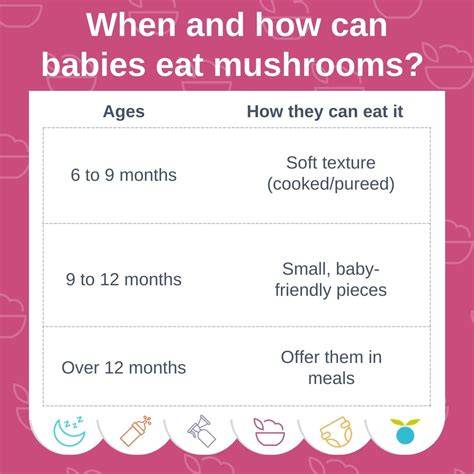 Can Babies Eat Mushrooms