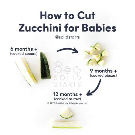 Can Babies Eat Zucchini Slice