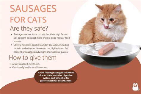 Can Cats Eat Sausage