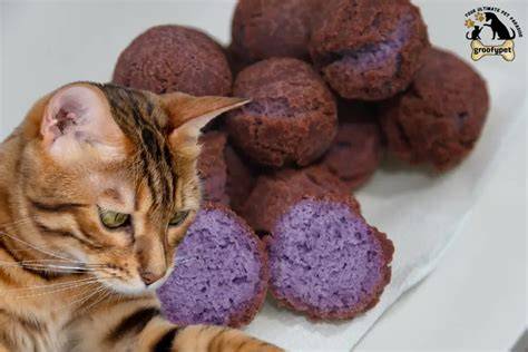 Can Cats Eat Ube
