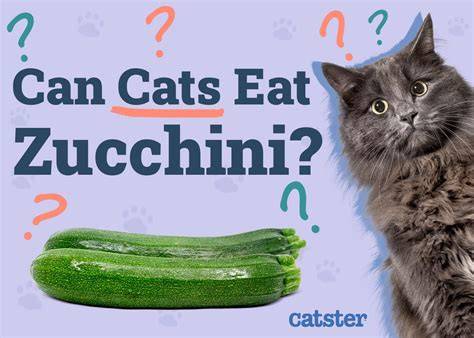 Can Cats Eat Zucchini Cooked