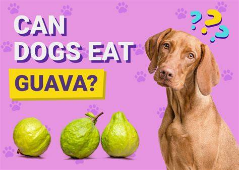 Can Dogs Eat Guava