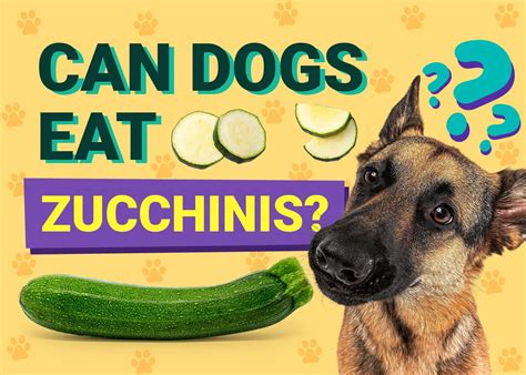 Can Dogs Eat Okra