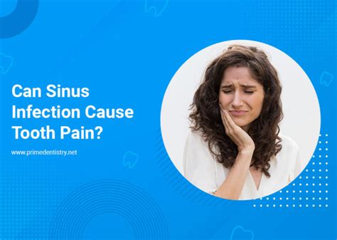 Can Sinus Infection Cause Toothaches