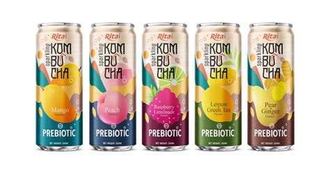 Can You Drink Kombucha While On Antibiotics