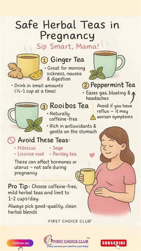 Can You Drink Peppermint Tea While Pregnant