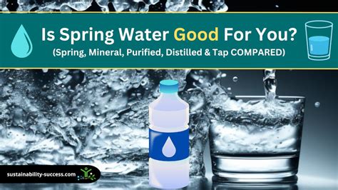 Can You Drink Spring Water