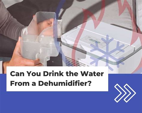 Can You Drink Water From Dehumidifier