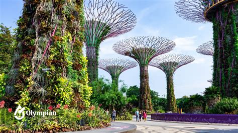 Can You Drink Water In Singapore