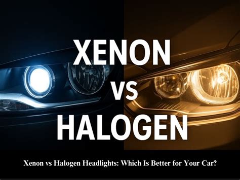 Can You Eat Xenon