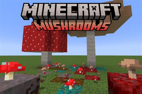 Can You Grow Mushrooms In Minecraft